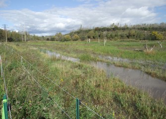 Creating a healthy, productive watershed is a crucial part of the Onondaga Lake cleanup.