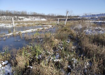 A beautiful morning at the Geddes Brook wetlands after first snow on the ground this season.