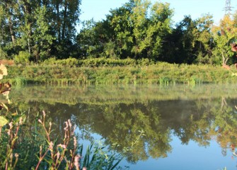 On a calm day, a reflection of the landscape is seen in the west basin. Pennsylvania knotweed is blooming in the left foreground.