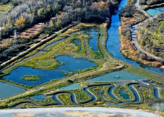 Work at Geddes Brook is complete; 50,000 newly-planted native plants have transformed 17 acres into a diverse new habitat for wildlife.