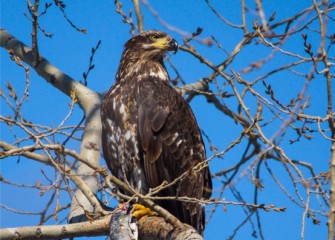 "Eating Good in the Neighborhood" Photo by John Savage