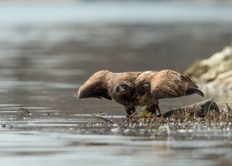 "Down and Dirty" Photo by Greg Craybas