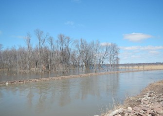 The wetlands at Nine Mile Creek are designed to flood during the seasonal high water periods.