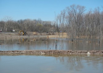 Plantings in the forested wetlands were specifically selected by habitat experts for wet conditions.