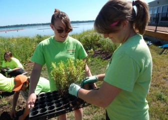 Counselors Renee Halloran (left) and Brigitte Moneymaker remove individual New England aster plants from trays.