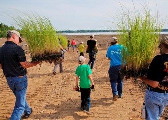 Up to 10 acres of wetlands will be created along Onondaga Lake’s western shoreline. The wetlands will support fish, amphibians, reptiles and birds, including migrating waterfowl.