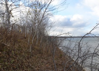 View along the shoreline before construction to build a revetment, or retaining wall.