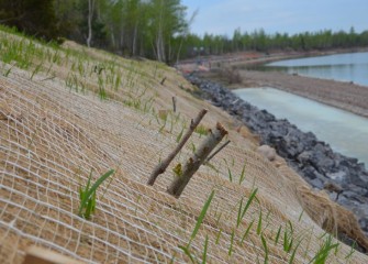 New soil is planted, covered with erosion control fabric made of natural fibers, and covered with a mesh net to protect seeds and new plantings.