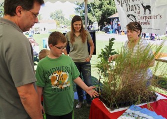 Owen Mason, of Syracuse, examines a few of the native plants used to enhance wetland areas in the Onondaga Lake watershed.