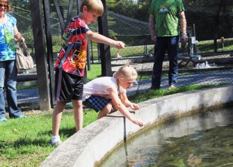 Preston (left) and Camryn Daggett from Cato feed young fish in one of the hatchery tanks.  Visitors to Honeywell Sportsmen’s Days at Carpenter’s Brook could also view the breeding tanks indoors at the hatchery.