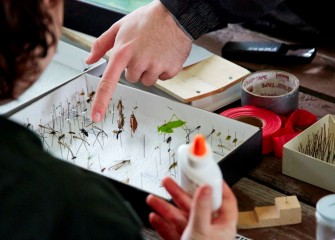 Community volunteers and SUNY-ESF faculty and students worked side by side to inventory and identify every species of plant and animal that could be found in 24 hours.