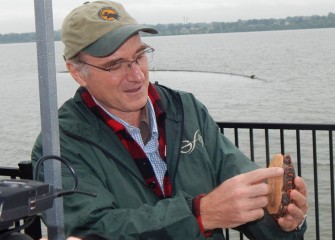 James Gibbs, Ph.D., professor of vertebrate conservation biology at SUNY-ESF, points out colorful markings on an Eastern painted turtle.