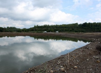 Geddes Brook wetlands soon after construction, when one of the first Corps planting events took place.