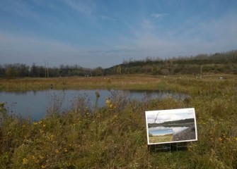 Today Geddes Brook wetlands is a flourishing ecosystem.  Posters were placed during the October 2014 event to remind participants how the wetlands appeared just two years ago.