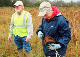 Sue Boettger (right) of Fayetteville roughens the root ball of a black willow before planting.