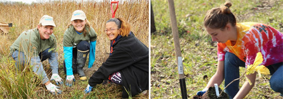Geddes Brook and Nine Mile Creek provided an opportunity for hundreds of community members to get involved in habitat improvements, becoming environmental stewards of Onondaga Lake through the Onondaga Lake Conservation Corps. Corps members have planted native plants and conducted citizen science monitoring. Left: Community volunteers plant a speckled alder at the Geddes Brook wetlands in October 2014. Right: Community volunteers participate in a planting event at Nine Mile Creek in October 2013.