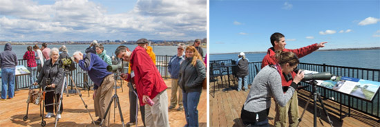 Left: Audubon experts help visitors view birds on Onondaga Lake. Twenty bird species were identified during the weekend, including bald eagles, belted kingfishers, and red-winged blackbirds (photo taken by Bob Walker). Right: Ellen Paccia, of Marietta, New York, spots a bald eagle using a scope with the help of Chris Lajewski, director of the Montezuma Audubon Center.