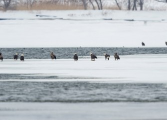 “Social Order” Photo by Greg Craybas