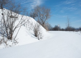 “Lake Trail #96” Photo by Willson Cummer