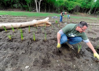 Daniel Sabene, from Camillus, plants prairie cordgrass.  Left and behind Daniel soft rush has been planted.  Volunteers planted 1250 native plants on Saturday morning.