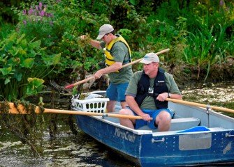 Removing water chestnut allows for greater biodiversity, contributing to a healthier ecosystem.