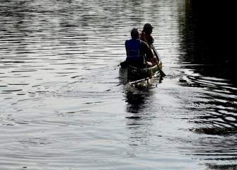 Removing invasive species is an important aspect of stewardship of Onondaga Lake and its watershed.