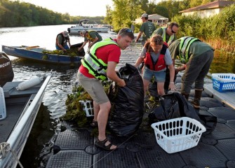 Efforts over the years to remove water chestnut are showing positive results.  The Onondaga Lake Conservation Corps is now joining in these efforts.