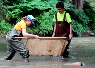 A counselor uses a kick-seine net to capture small fish and macroinvertebrates in Onondaga Creek.  Macroinvertebrates such as crustaceans, worms and aquatic insects are bioindicators of the health of the ecosystem.