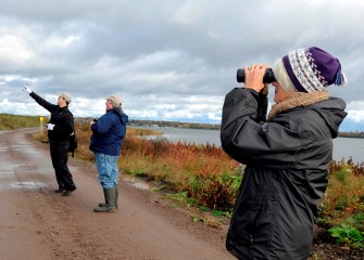 Meanwhile other Corps members work to identify birds along the shoreline.  Left is Frank Moses, Onondaga Audubon’s Onondaga Lake liaison, with Paul Marconi, Syracuse, and Cheryl Belle from Baldwinsville.