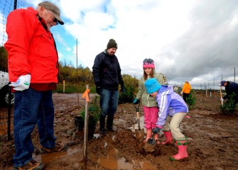 Autumn (right) and twin sister Evelyn Keefe work hard at digging the hole just the right size and depth for a new tree, as their father Nathan and grandfather Larry watch.