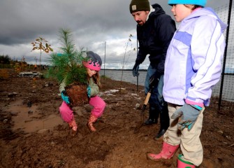 Evelyn places an eastern white pine carefully in its new spot along the Onondaga Lake shoreline. Eastern white pine (Pinus strobus) grow to 150 feet tall and live 200 years or longer in an undisturbed location.