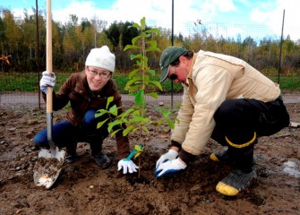 Grace Getman, of Syracuse, works together with Steve Mooney, Managing Scientist at O’Brien & Gere and Corps volunteer, to properly pack soil around a young spicebush (Lindera benzoin) they just planted.