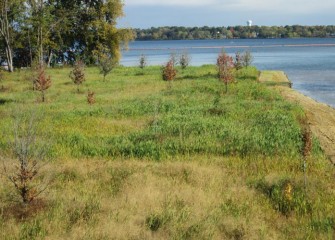 Forested wetlands, completed late 2013, adjacent to the mouth of Nine Mile Creek and Onondaga Lake.