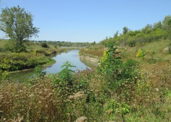 The Nine Mile Creek corridor now thrives with a variety of native plants and trees.