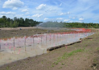 New plantings are fenced off to keep geese out until the plants become established.