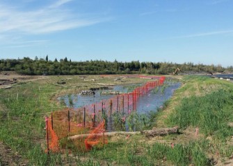 A re-created wetland continues to grow in through fall. Ten acres of new wetlands are being built along the lake’s western shoreline.