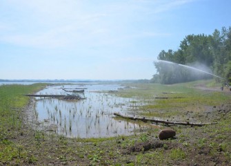 Irrigation by water cannon (right) continues as needed while new plantings develop.