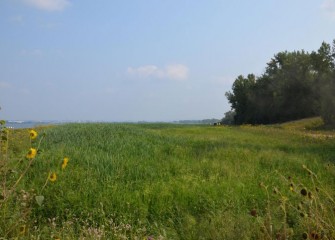 Approximately 70,000 native plants are being planted in 30 acres, including 10 acres of wetlands to support shorebird and amphibian habitats. Eight acres of wetlands are already complete; another two acres will be completed in 2016.