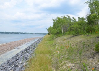 The shoreline has been enhanced in areas to help prevent erosion. New native vegetation is growing in.