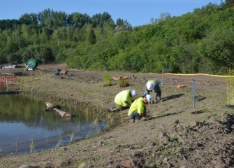 Workers continue to install native plants in the wetland areas.