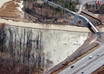 Forested wetlands near the mouth of Nine Mile Creek were designed to handle overflow in spring and other high water periods.