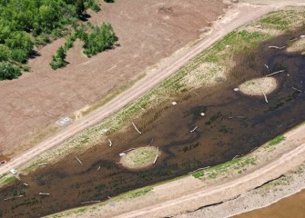 This zoom in of a new wetland along Onondaga Lake shows habitat structures and individual plants growing.