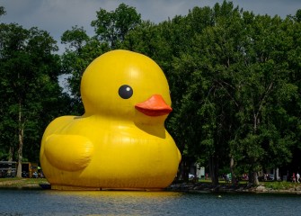 “Cusey,” a 61-foot-tall rubber duck, makes her debut on Onondaga Lake and draws people throughout the day.