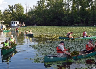 Past Klein Island participants find an area filled with a thick mat of water chestnut plants.