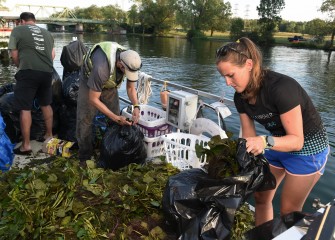 Water chestnut must be bagged for disposal or composted long term away from water bodies. Seeds can survive for years.