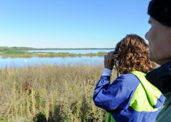 Honeywell Educators Sue Potrikus and Gary Lipp observe a Great Egret in the newly created wetlands near the mouth of Nine Mile Creek.