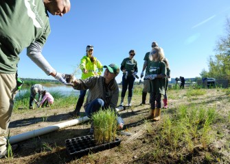 Kourtnie Clark, a student at Onondaga Community College, hands a bluejoint grass plug to LaFayette teacher David Amidon.  Amidon was recently recognized with an award from the White House Council on Environmental Quality and U.S. EPA for environmental education.