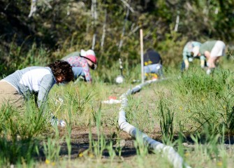 Diane Mantooth (left), of Clay, and others install 1,400 native plants along Onondaga Lake’s shoreline Saturday morning. Temperature conditions are ideal for fall planting. The areas will be irrigated to ensure survival of the new plants.