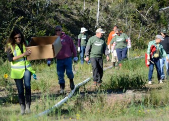 Volunteers fan out along the shoreline to planting areas. Access to the recently restored wetlands is restricted to the public while new plantings become established; the new wetlands can be seen from the lake.