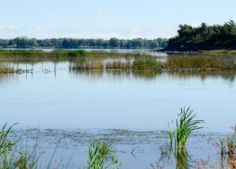 The work taking place near the mouth of Nine Mile Creek will transform over 18 acres into new wetlands that will play a significant role in creating a healthy Onondaga Lake watershed and a sustainable ecosystem.